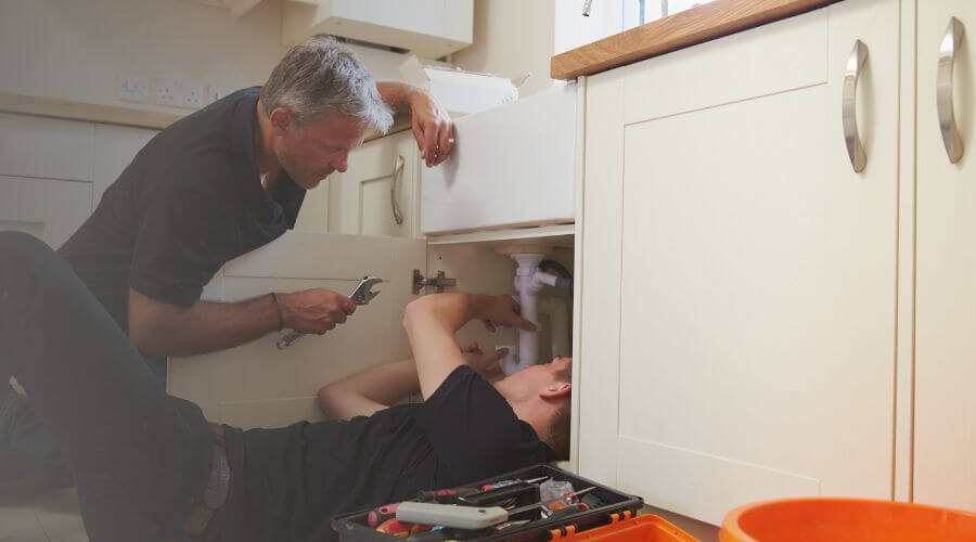 Professional Water Damage Mitigation services in Hecker, IL
